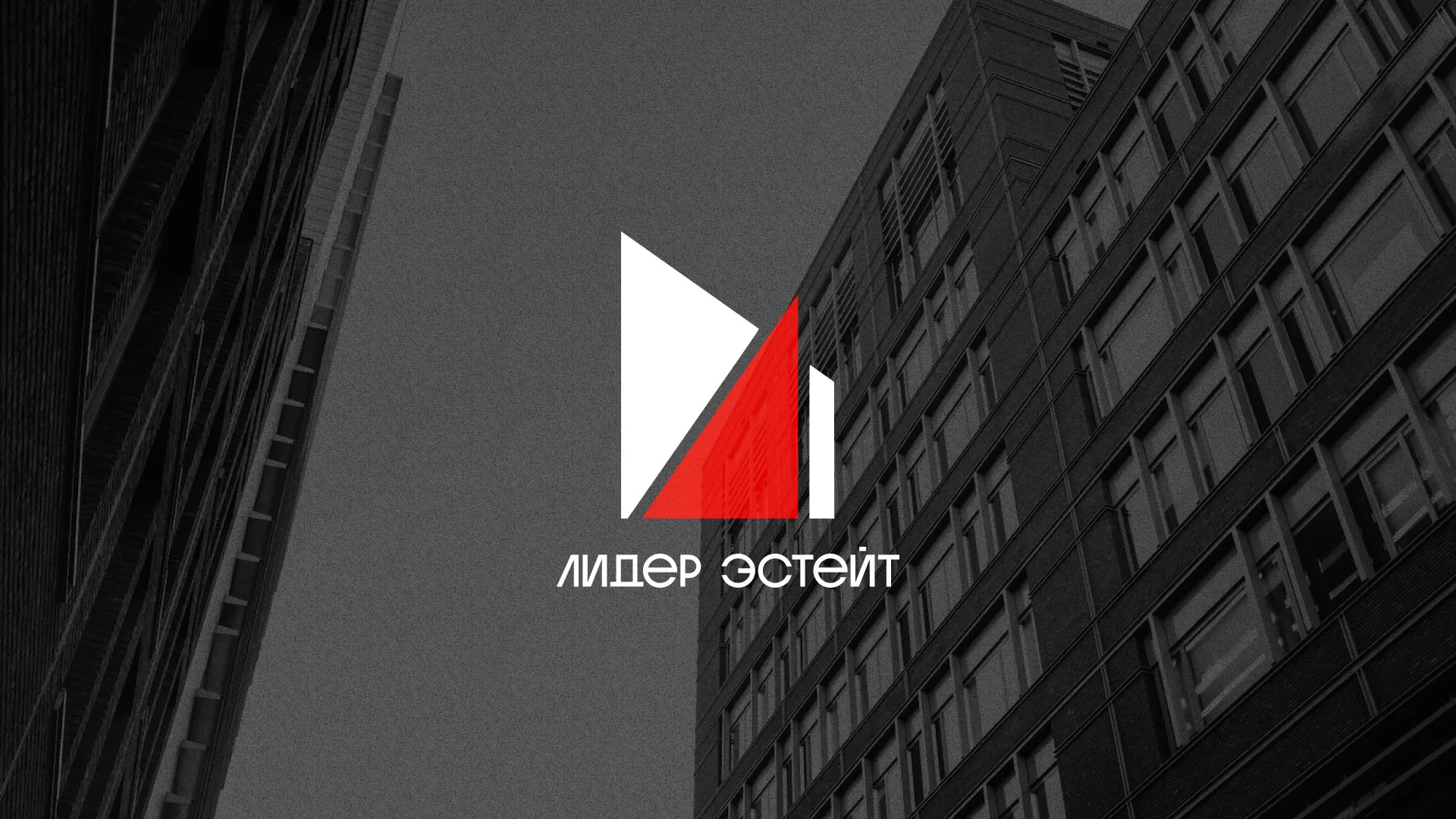 Сделали логотип для агентства недвижимости «Лидер Эстейт» в Нарткале